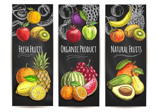 Frutas orgánicas naturales frescas. Vector dibujo pera, naranja, aguacate, manzana, melocotón, plátano, kiwi