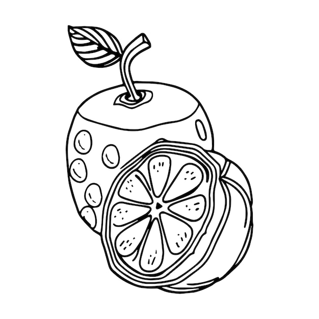 Frutas páginas para colorear dibujos imprimibles para niños vector color negro y blanco.