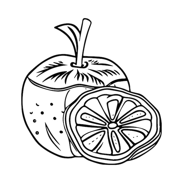 Frutas páginas para colorear dibujos imprimibles para niños vector color negro y blanco.