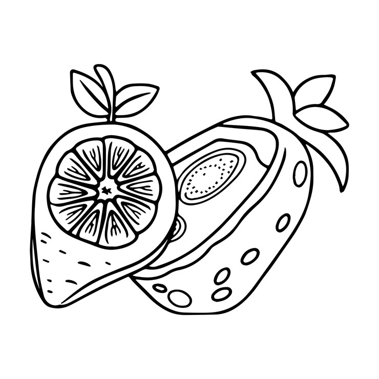 Vector frutas páginas para colorear dibujos imprimibles para niños vector color negro y blanco.