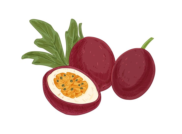 Vector frutas de la pasión enteras, mitad de maracuyá y hoja. cortar trozo de maracuyá con pulpa jugosa con semillas. composición de dulce maracuyá maduro. ilustración de vector dibujado a mano de estilo retro aislado en blanco