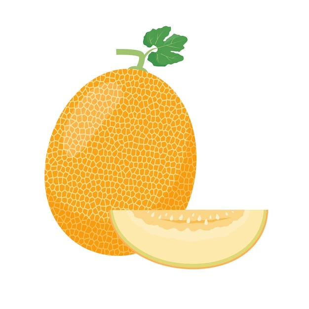 Frutas y pedazos frescos de melón Melón orgánico para batidos de jugo o alimentos saludables con vitaminas