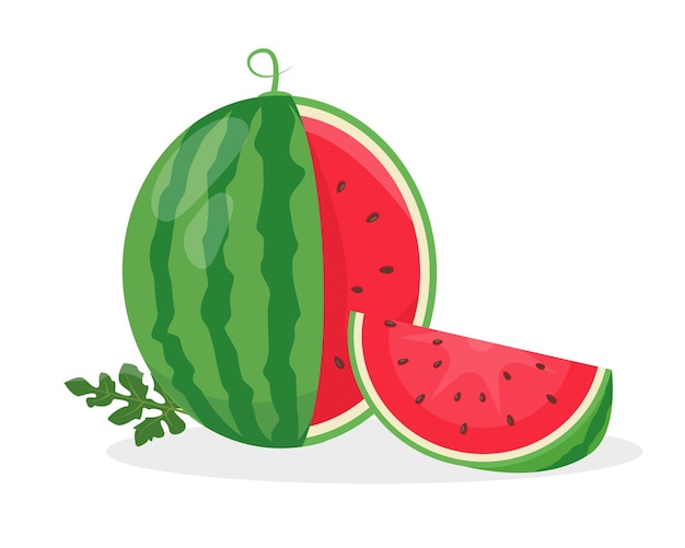 Frutas y pedazos de sandía cortadas frescas Sandía orgánica para batidos de jugo o alimentos saludables con vitaminas