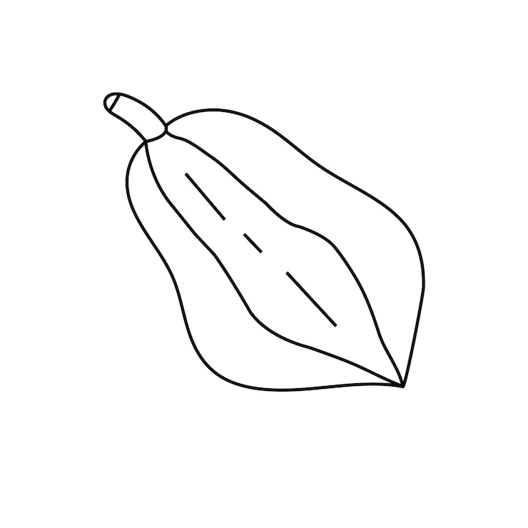 Frutas pepe páginas para colorear ilustración vectorial Vector libre