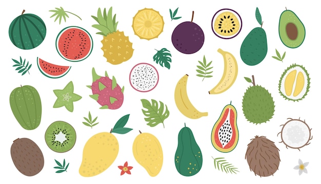 Frutas tropicales y bayas con rodajas y mitades.