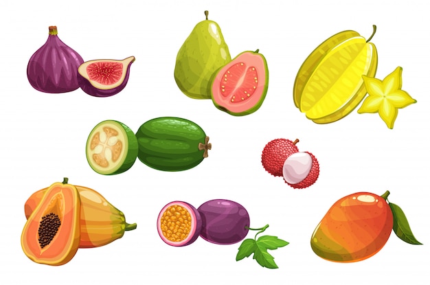 Vector frutas tropicales, conjunto de iconos de dibujos animados aislados