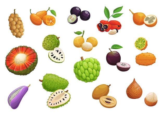 Frutas tropicales exóticas de dibujos animados aislados