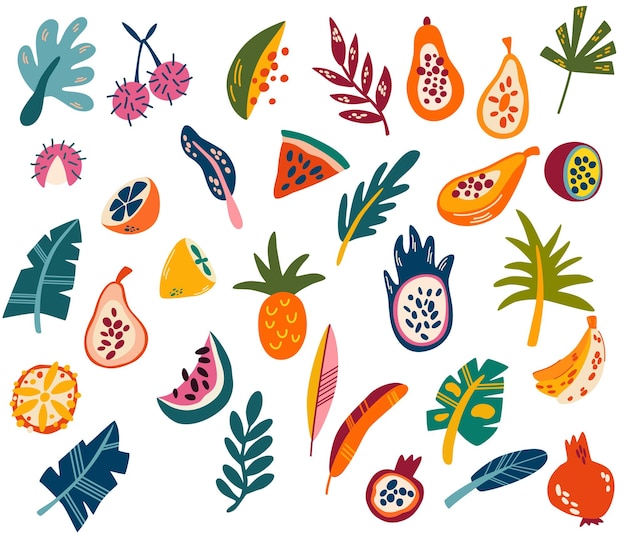 Frutas tropicales y hojas frutas orgánicas o comida vegetariana fruta dulce natural vector