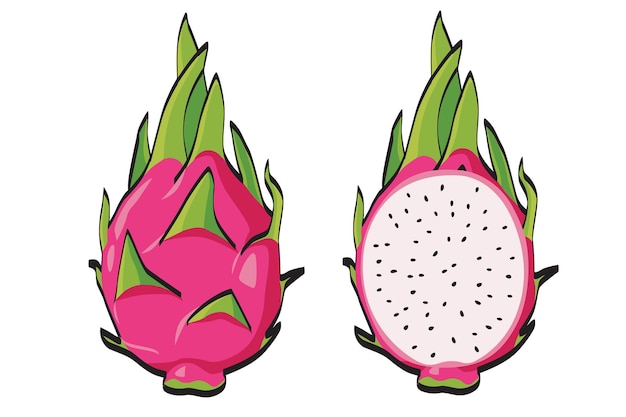 frutas tropicales de verano para un estilo de vida saludable frutas de dragón rojo frutas enteras y medio vector