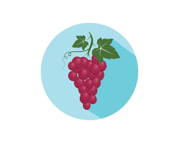 Frutas de uva con plantilla de ilustración de vector de icono de hoja