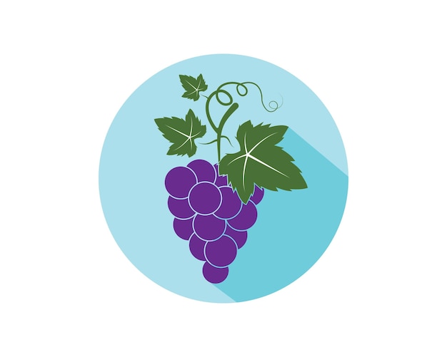 Frutas de uva con plantilla de ilustración de vector de icono de hoja