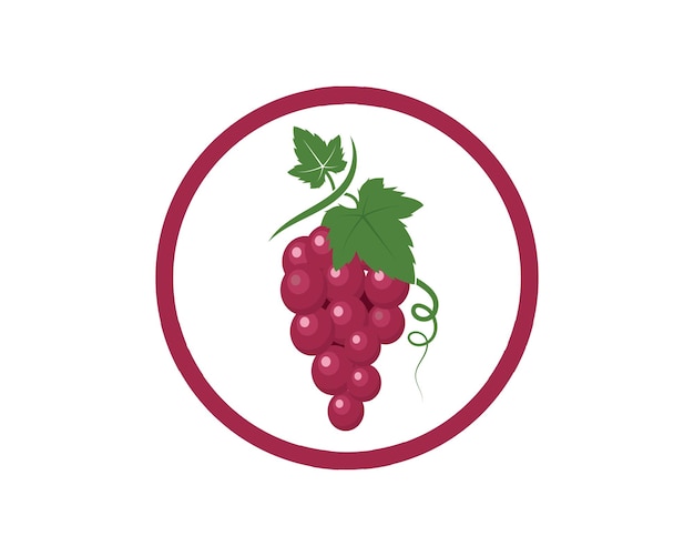 Frutas de uva con plantilla de ilustración de vector de icono de hoja