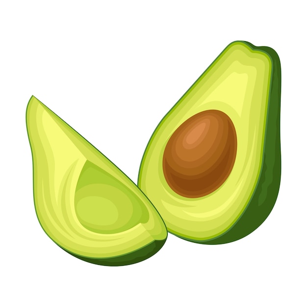 Fruto de aguacate maduro con núcleo Vector de vista frontal Alimento aislado en fondo blanco Alimentos exóticos cortados en mitades