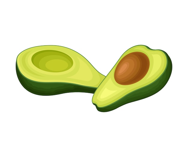 Fruto de aguacate Vector Ilustración de alimento aislado en fondo blanco Cortado por la mitad Nutrición tropical madura