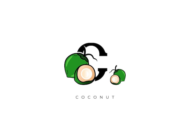 Fruto de coco vector