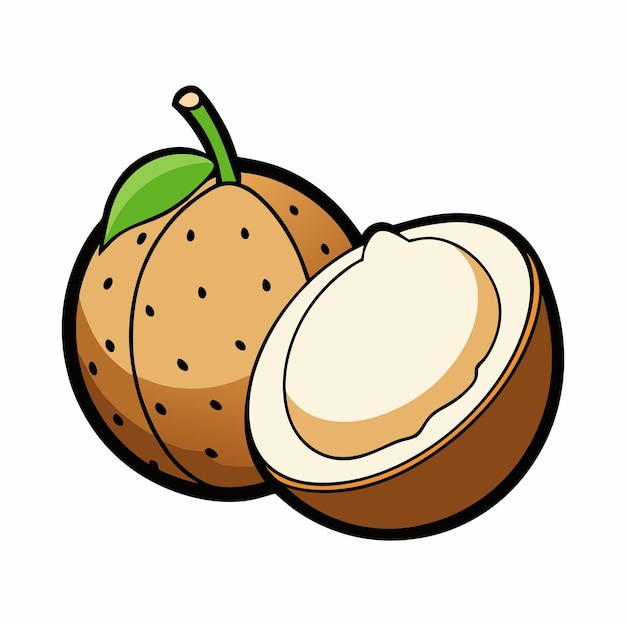 Un fruto de longan cortado por la mitad revela su carne suculenta translúcida que rodea una semilla oscura y brillante