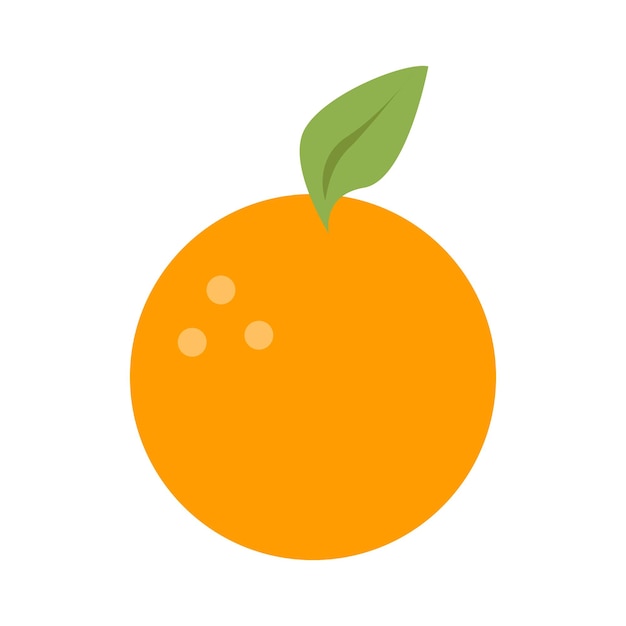 Fruto naranja vectorial sobre fondo blanco