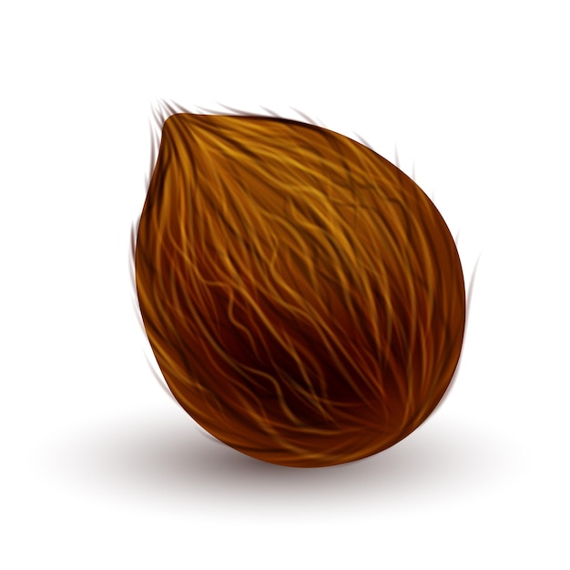 Fruto orgánico de verano de coco entero para un estilo de vida saludable símbolo de dibujos animados para cualquier publicidad de diseño