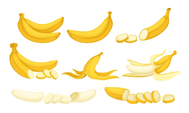 Fruto de plátano amarillo entero y picado con cáscara y sin conjunto vectorial