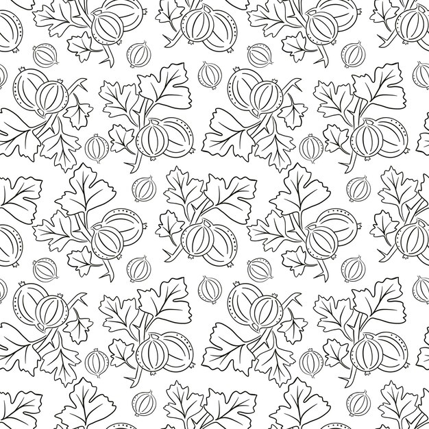 Frutos de grosella espinosa planta de jardín diseño plano