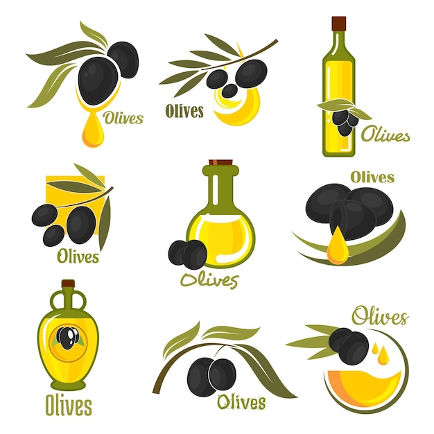 Frutos de olivo con hojas y botellas de aceite.