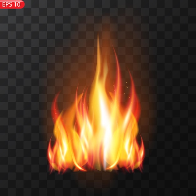 un fuego ardiente con una llama y las palabras fuego en él