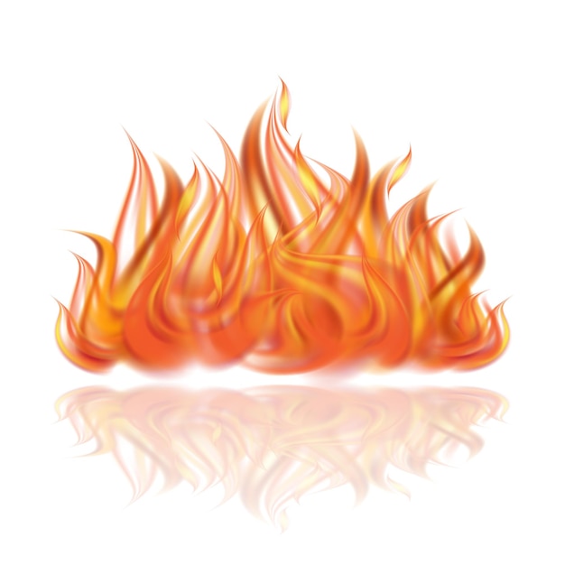 Fuego sobre fondo blanco. Ilustración vectorial