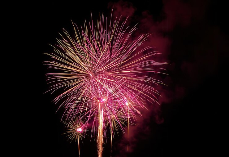 Vector los fuegos artificiales se muestran en el cielo nocturno con un fuego artificial rosa