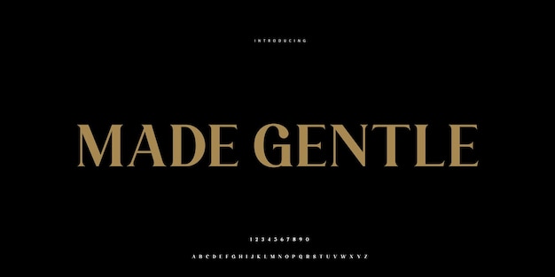 Fuente elegante mayúscula minúscula y número letras clásicas diseños de moda mínimos tipografía m