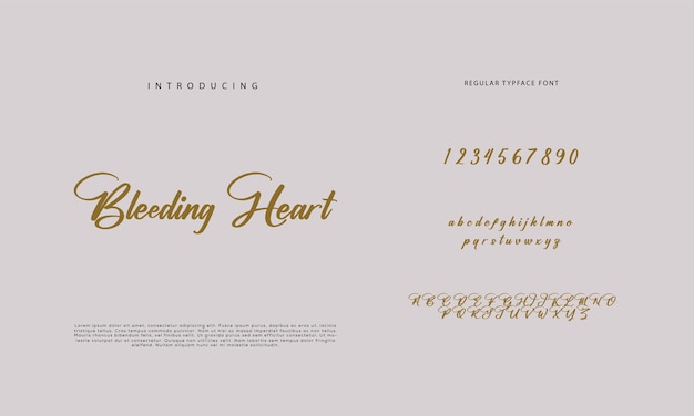 Fuente de firma caligrafía logotipo escritura pincel tipo de fuente letra escrita a mano