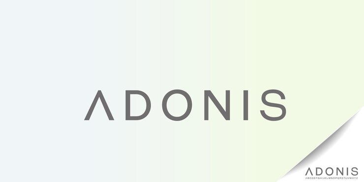 Vector fuente de letras del alfabeto elegante vectorial. clásico moderno serif letras moda minimalista