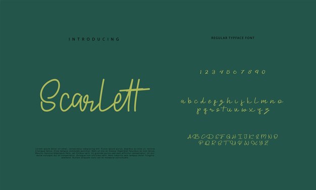 Fuente manuscrita Escritura estilo de pincel dibujado a mano caligrafía moderna tipo de letra cursiva Letras a mano