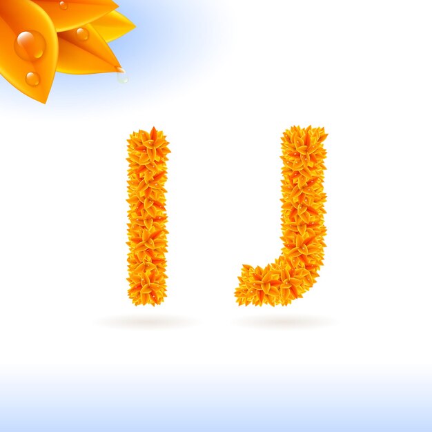 Fuente sans serif con decoración de hojas de otoño