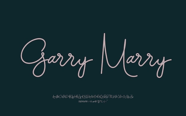 Fuente de script elegante, fuente de logotipo de fuentes de tipografía de lujo Vector Premium.