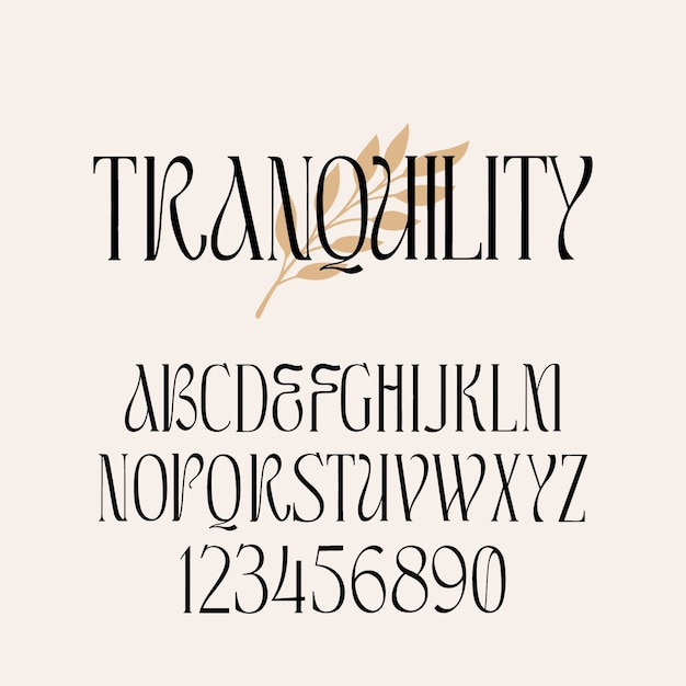 Fuente de serif plano elegante o alfabeto
