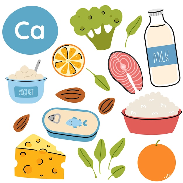 Fuentes alimenticias ricas en calcio Conjunto de productos que contienen una gran cantidad de calcio Alimentos ricos en calcio