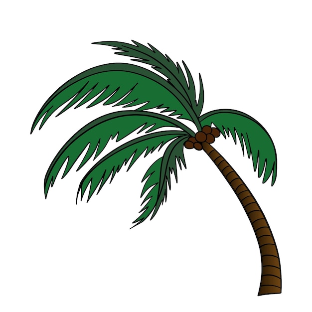 Un fuerte viento sopla sobre una palmera Elemento de la flora de la isla