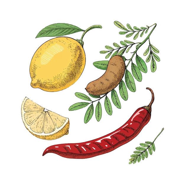 Fusión picante Una mezcla picante de cebolla ajo jengibre limón chiles y piña