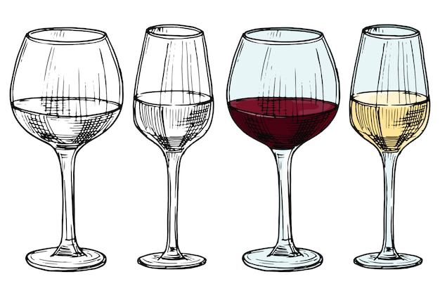 Vector gafas dibujadas a mano con vino tinto y blanco ilustración vectorial