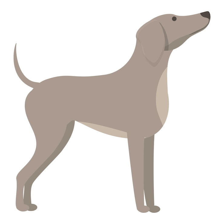 Vector galgo esperando comida icono dibujos animados vector ejecutar animal sprint canino