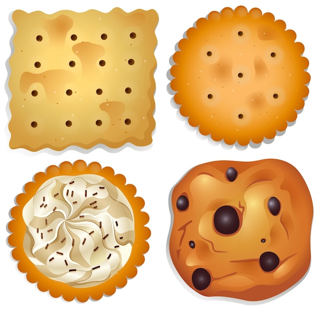 Vector galletas deliciosas