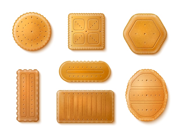 Vector galletas realistas aisladas 3d galletas dulces y saladas crujientes galletas secas de pastelería con agujeros de formas cuadradas y redondas delicioso bocadillo producto de panadería conjunto de confitería vectorial total