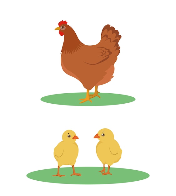 Gallina con pollitos vector