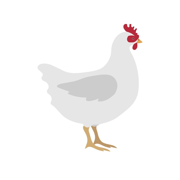 Gallina de pollo plana dibujada a mano por el vector