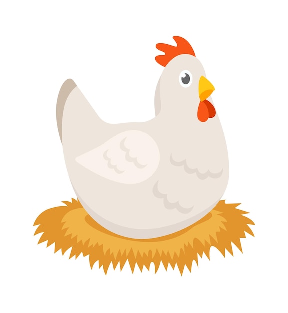 Gallina sentada en nido de paja