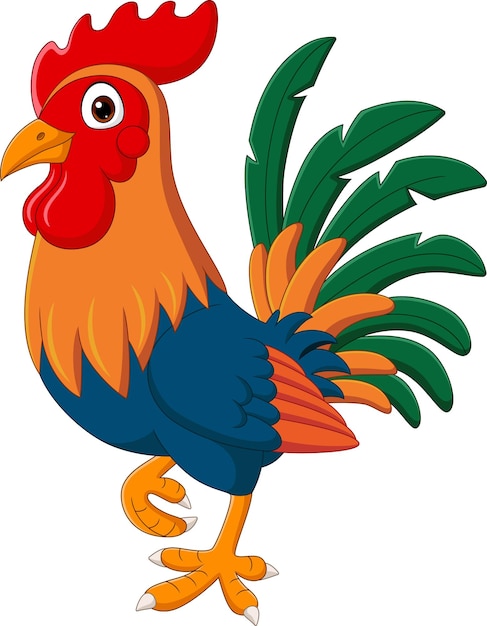 Vector gallo divertido de dibujos animados sobre fondo blanco