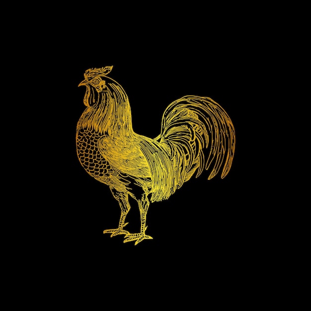 Un gallo dorado con fondo negro.