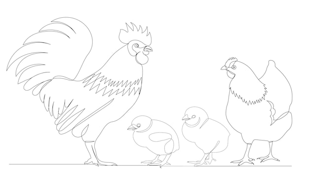 gallo, gallina, y, polluelos, un, continuo, línea, dibujo, bosquejo, vector