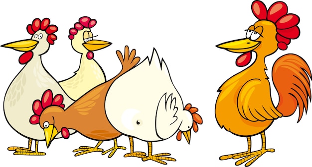 Vector gallo y gallinas