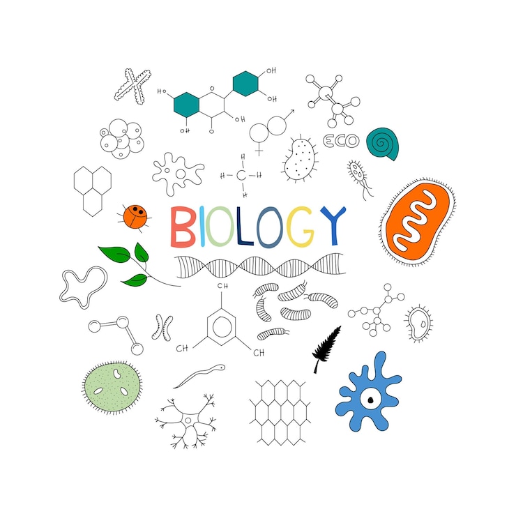 Vector garabato de biología